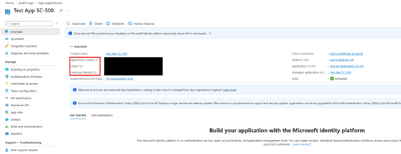 App overview Essentials section with IDs highlighted