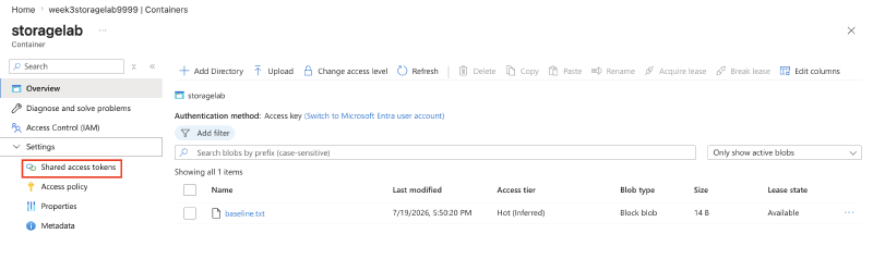 Generating a read-only service SAS on the container