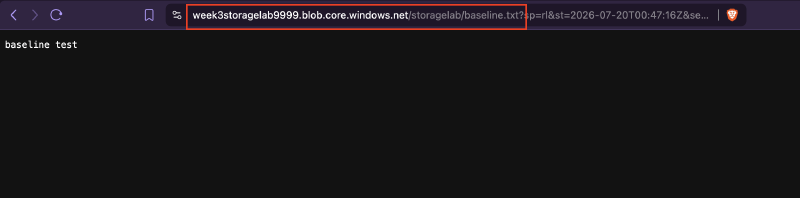 curl succeeding with only the SAS token, no login