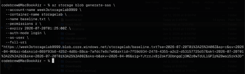 CLI output of the user delegation SAS URL
