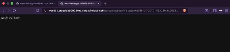 Storage Blob Data Reader role assignment