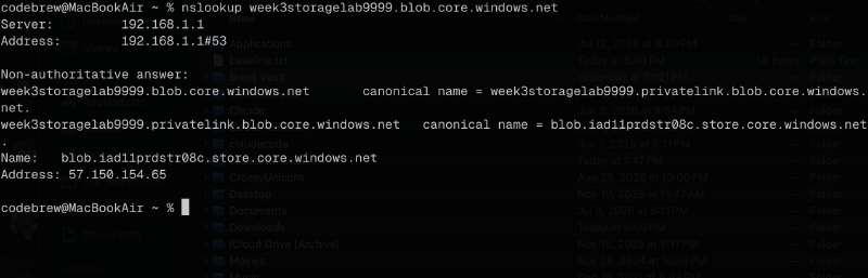Laptop nslookup still resolving to the public path